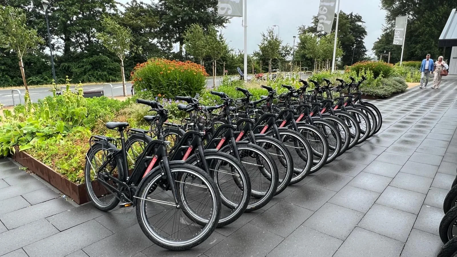 Kleine en grote groepen — E-Choppershuren.nl