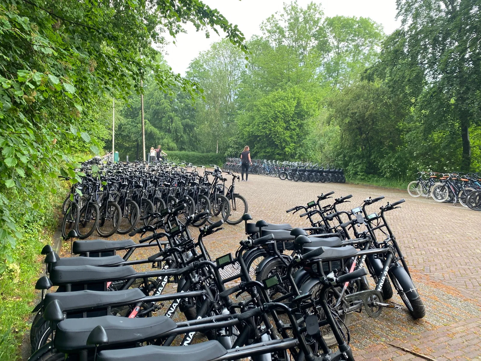 Fatbikes huren voor een grote groep — E-Choppershuren.nl