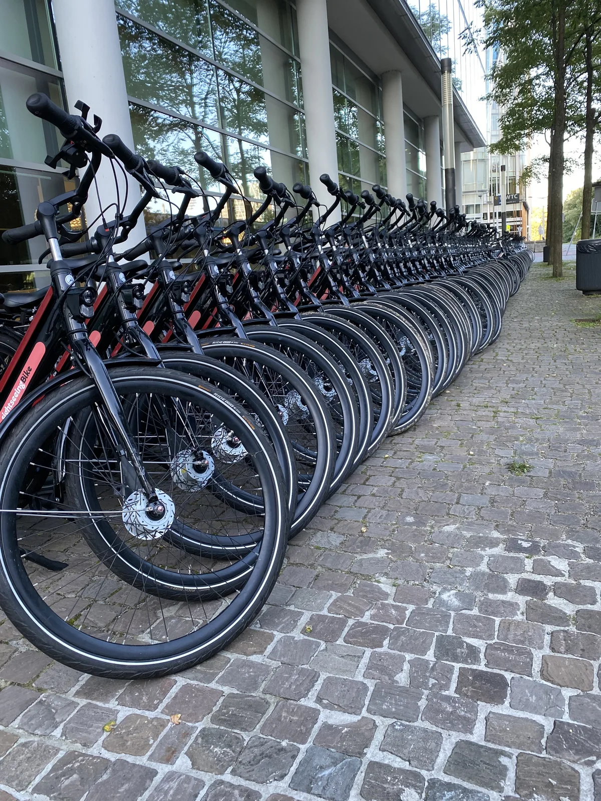 Stadsfietsen huren in Utrecht voor groot bedrijfsuitje — E-Choppershuren.nl