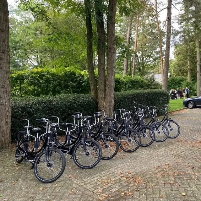 Tandem verhuur — E-Choppershuren.nl